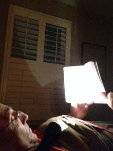 My husband couldn't stop reading The Art of Falling even after the power went out.